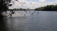 Old-hickory-lake-bledsoe-tn1.jpg