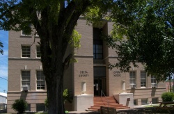 Delta courthouse tx 2010.jpg