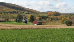 A farm in Morris Township